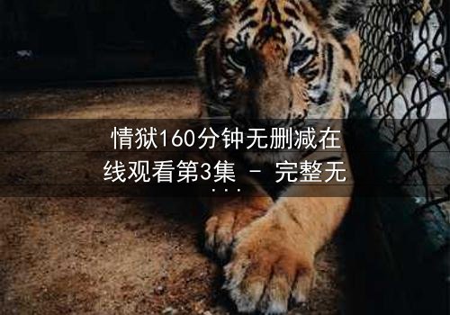 情狱160分钟无删减在线观看第3集 - 完整无删 - 人性与欲望的极限考验