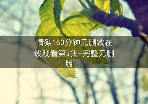 情狱160分钟无删减在线观看第3集-完整无删版 - 人性与欲望的极限考验