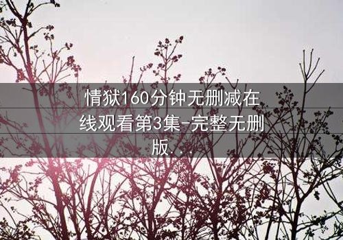 情狱160分钟无删减在线观看第3集-完整无删版 - 当欲望与道德在160分钟里激烈碰撞