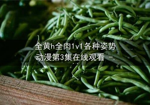 全黄h全肉1v1各种姿势动漫第3集在线观看 - 禁忌之恋的极致爆发