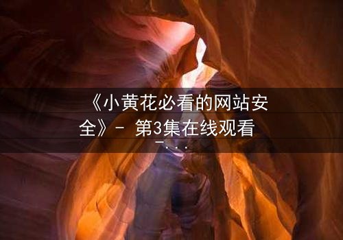 《小黄花必看的网站安全》- 第3集在线观看 - 当秘密被黑客盯上,谁能守护她的真相?