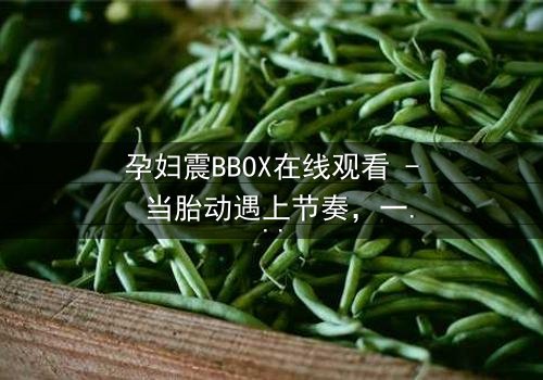 孕妇震BBOX在线观看 - 当胎动遇上节奏,一场生死对决悄然上演