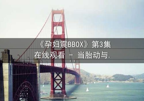 《孕妇震BBOX》第3集在线观看 - 当胎动与节奏共振时命运如何交织