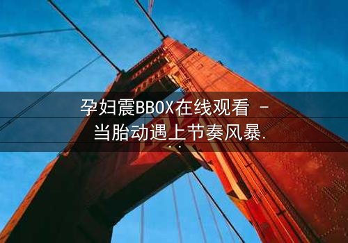 孕妇震BBOX在线观看 - 当胎动遇上节奏风暴,她如何用生命谱写最强音?