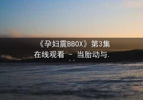 《孕妇震BBOX》第3集在线观看 - 当胎动与节奏碰撞出命运交响曲