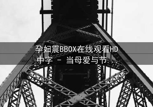 孕妇震BBOX在线观看HD中字 - 当母爱与节奏碰撞,谁能掌控命运?