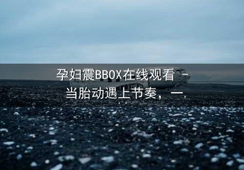孕妇震BBOX在线观看 - 当胎动遇上节奏,一场生死对决悄然上演