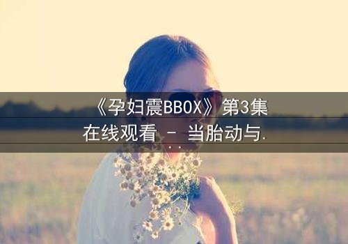 《孕妇震BBOX》第3集在线观看 - 当胎动与节拍共振时隐藏的惊天秘密