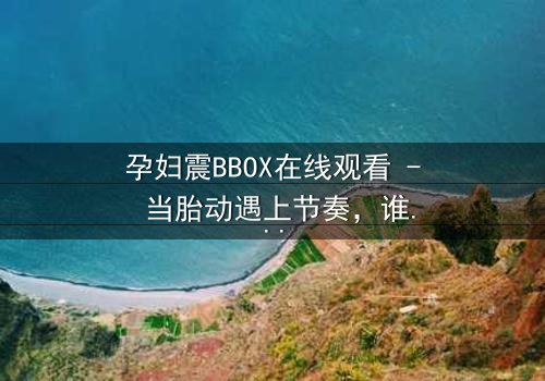孕妇震BBOX在线观看 - 当胎动遇上节奏,谁将主宰这场生死对决?