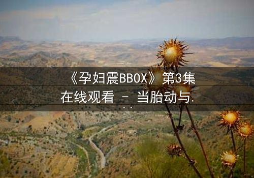《孕妇震BBOX》第3集在线观看 - 当胎动与节奏碰撞出生命奇迹