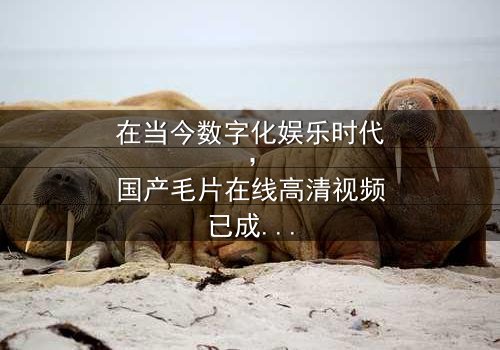 《国产毛片在线高清视频》-在线观看 - 第3集