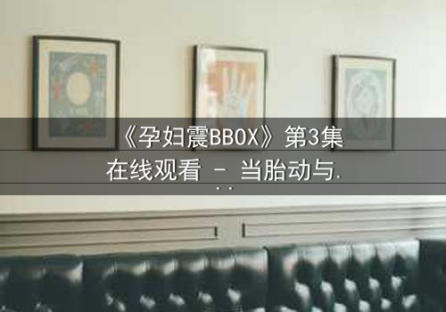 《孕妇震BBOX》第3集在线观看 - 当胎动与节奏碰撞出致命火花