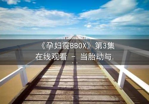 《孕妇震BBOX》第3集在线观看 - 当胎动与节奏共振,禁忌之门悄然开启