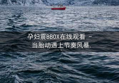 孕妇震BBOX在线观看 - 当胎动遇上节奏风暴,她如何用生命谱写最狂野的乐章?