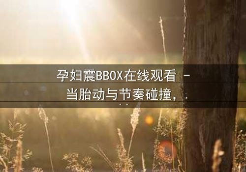 孕妇震BBOX在线观看 - 当胎动与节奏碰撞,谁在掌控命运?
