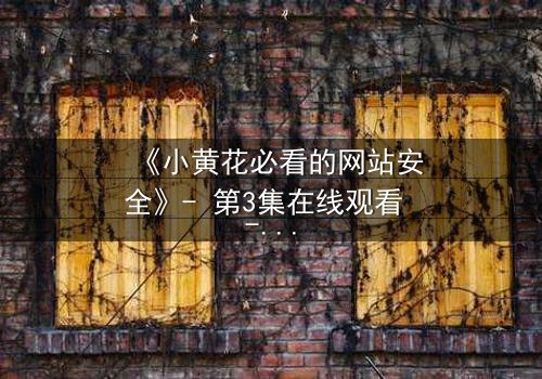 《小黄花必看的网站安全》- 第3集在线观看 - 一场数字世界的生死博弈
