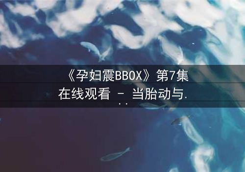 《孕妇震BBOX》第7集在线观看 - 当胎动与节奏共振时