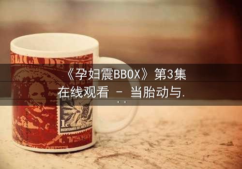 《孕妇震BBOX》第3集在线观看 - 当胎动与节奏碰撞出命运交响曲
