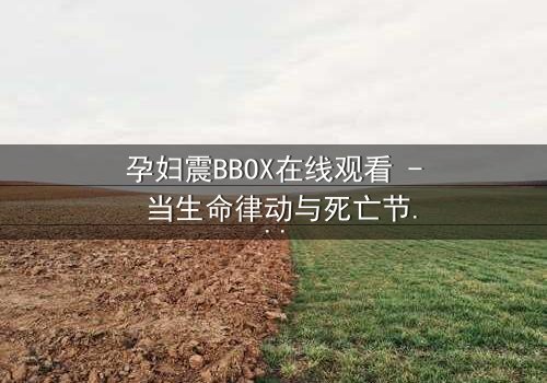 孕妇震BBOX在线观看 - 当生命律动与死亡节奏碰撞,谁能逃出这场致命游戏?