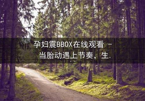 孕妇震BBOX在线观看 - 当胎动遇上节奏,生死对决一触即发