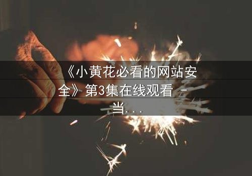 《小黄花必看的网站安全》第3集在线观看 - 当网络陷阱悄然绽放,谁能守护你的数字人生?