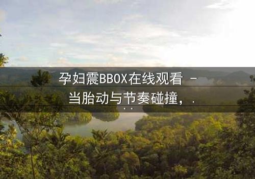 孕妇震BBOX在线观看 - 当胎动与节奏碰撞,谁将主宰这场生死对决?