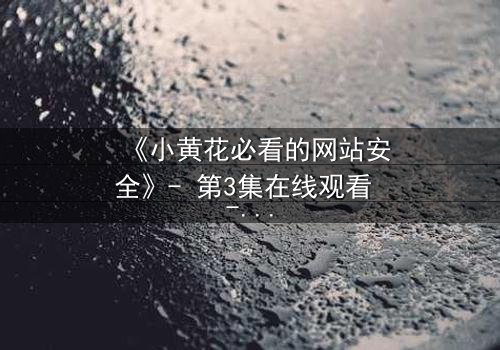 《小黄花必看的网站安全》- 第3集在线观看 - 当虚拟世界变成致命陷阱
