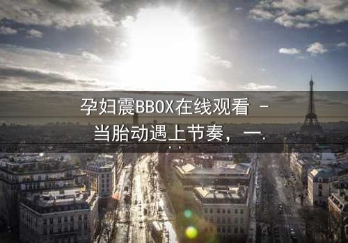 孕妇震BBOX在线观看 - 当胎动遇上节奏,一场生死对决悄然上演