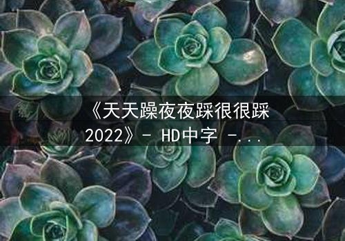《天天躁夜夜踩很很踩2022》- HD中字 - 完整无删