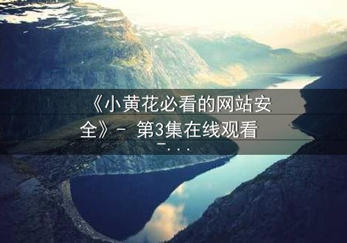 《小黄花必看的网站安全》- 第3集在线观看 - 网络暗战,谁在操控你的屏幕?