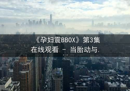 《孕妇震BBOX》第3集在线观看 - 当胎动与节奏碰撞,谁能守住生命的节拍?