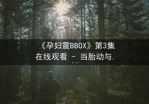 《孕妇震BBOX》第3集在线观看 - 当胎动与节奏共振,禁忌之门悄然开启