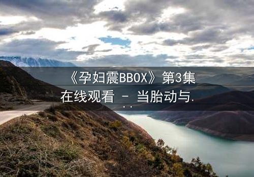 《孕妇震BBOX》第3集在线观看 - 当胎动与节奏碰撞出生命奇迹