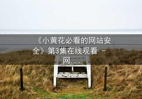《小黄花必看的网站安全》第3集在线观看 - 网络暗战,谁在守护你的秘密?