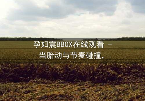 孕妇震BBOX在线观看 - 当胎动与节奏碰撞,她如何用生命谱写嘻哈传奇?