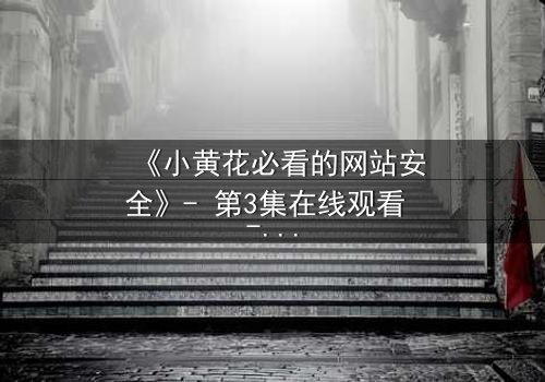《小黄花必看的网站安全》- 第3集在线观看 - 揭开网络暗战的真相