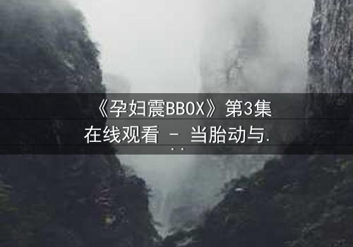 《孕妇震BBOX》第3集在线观看 - 当胎动与节奏共振,禁忌之门悄然开启