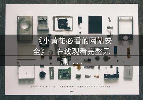 《小黄花必看的网站安全》- 在线观看完整无删 - 一场数字世界的生死博弈