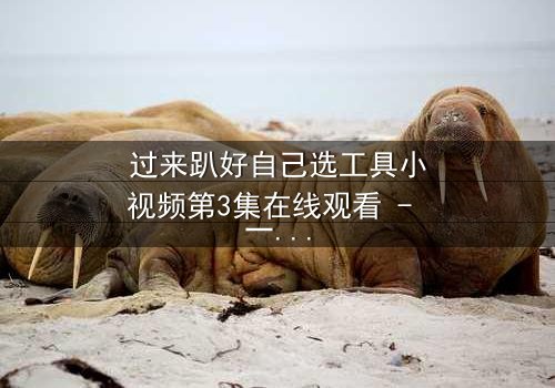 过来趴好自己选工具小视频第3集在线观看 - 一场工具选择的生死较量,你敢错过吗?