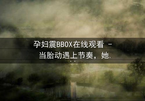 孕妇震BBOX在线观看 - 当胎动遇上节奏,她如何用生命谱写最疯狂的嘻哈传奇?