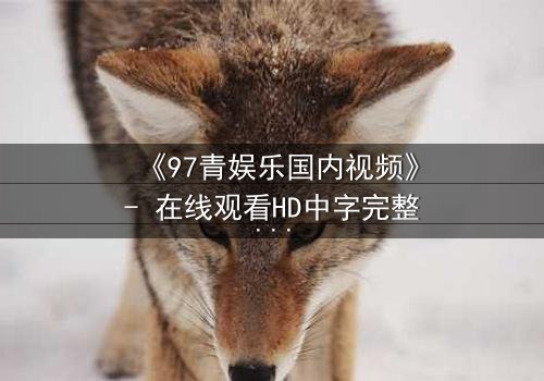 《97青娱乐国内视频》- 在线观看HD中字完整无删 - 一场青春与背叛的终极对决