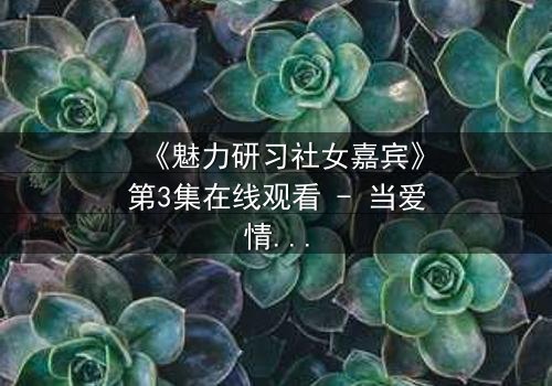 《魅力研习社女嘉宾》第3集在线观看 - 当爱情与野心在镜头前激烈碰撞