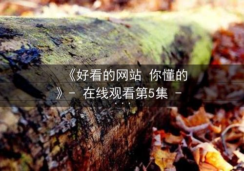 《好看的网站 你懂的》- 在线观看第5集 - 当秘密网站成为致命陷阱
