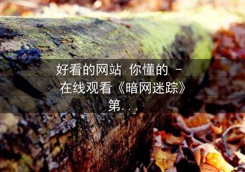 好看的网站 你懂的 - 在线观看《暗网迷踪》第3集 - 真相背后,谁在操控你的屏幕?