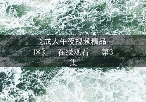 《成人午夜视频精品一区》- 在线观看 - 第3集