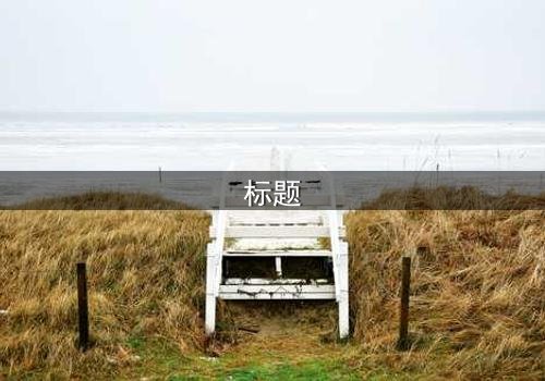 标题