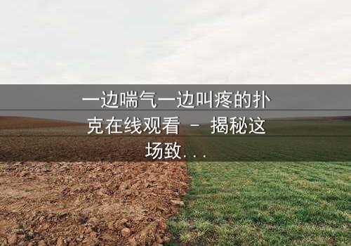 一边喘气一边叫疼的扑克在线观看 - 揭秘这场致命游戏的背后真相