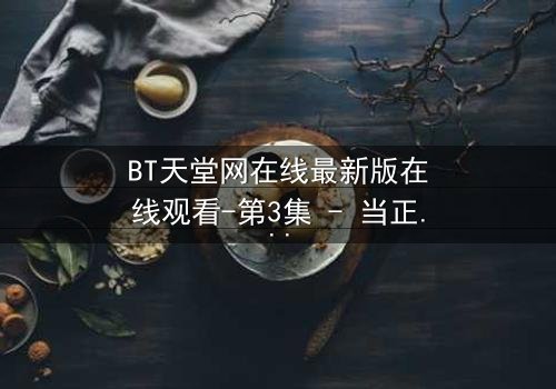 BT天堂网在线最新版在线观看-第3集 - 当正义与欲望交织,谁能全身而退?