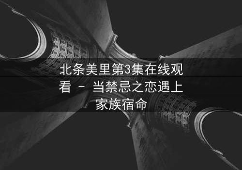 北条美里第3集在线观看 - 当禁忌之恋遇上家族宿命