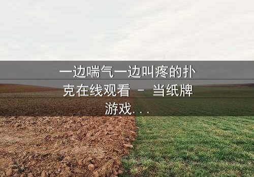 一边喘气一边叫疼的扑克在线观看 - 当纸牌游戏变成生死赌局